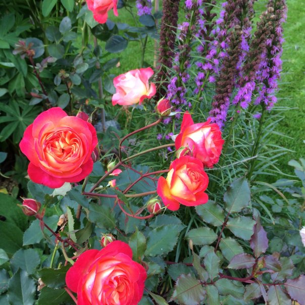 превью изображения отзыва