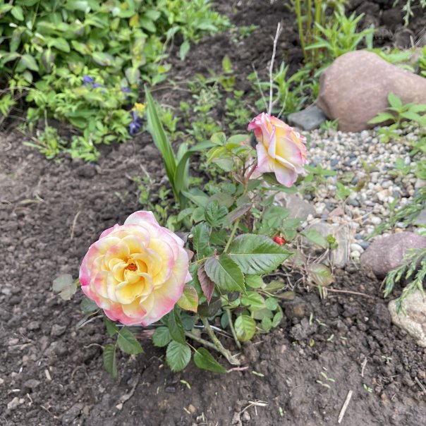 превью изображения отзыва