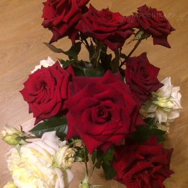 превью изображения отзыва