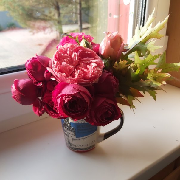 превью изображения отзыва