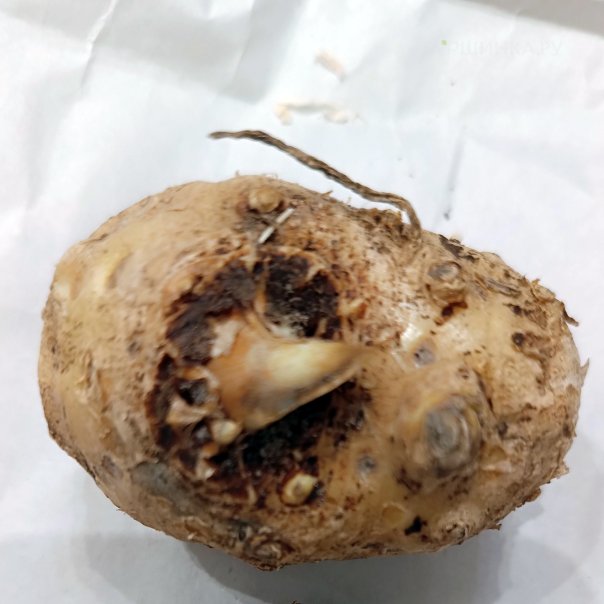 превью изображения отзыва