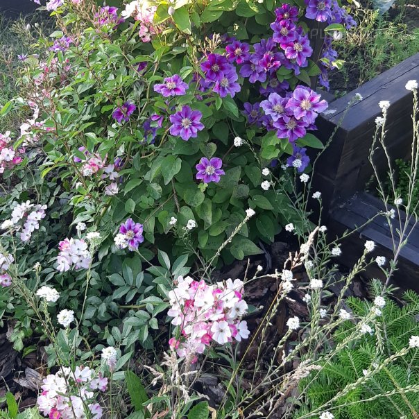 превью изображения отзыва