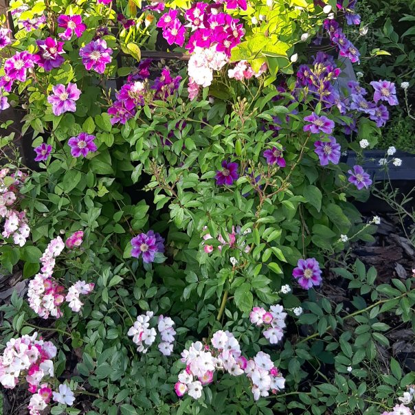 превью изображения отзыва