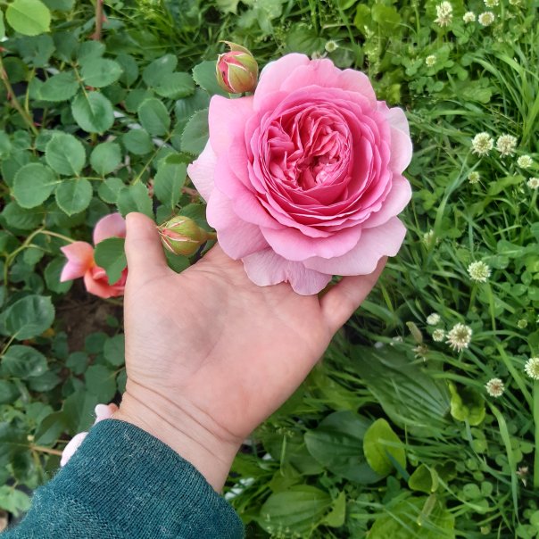 превью изображения отзыва