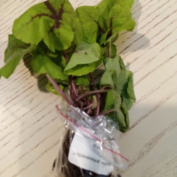 превью изображения отзыва