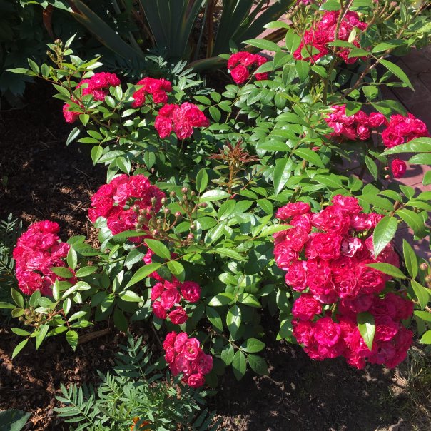 превью изображения отзыва