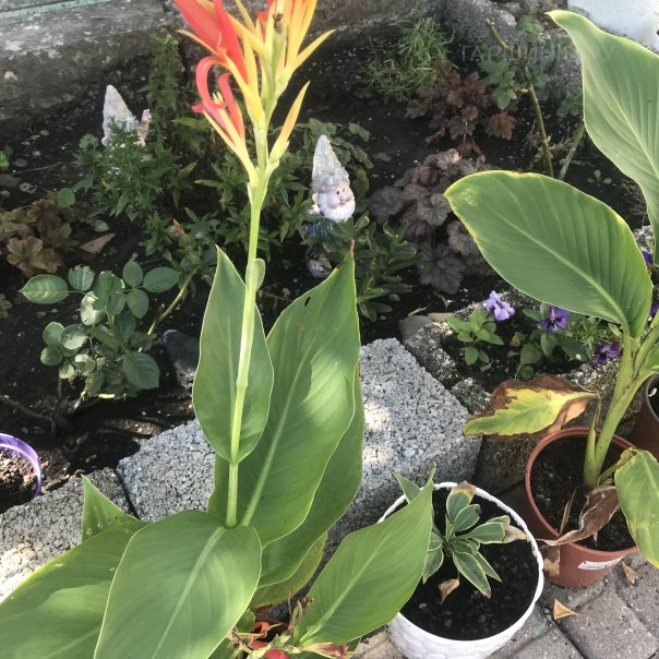 превью изображения отзыва