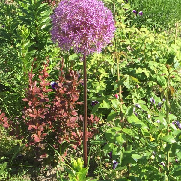 превью изображения отзыва