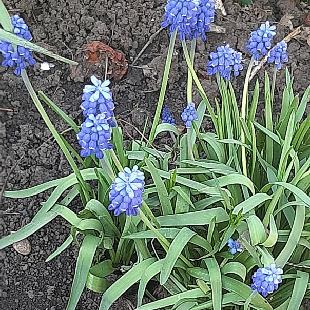 превью изображения отзыва