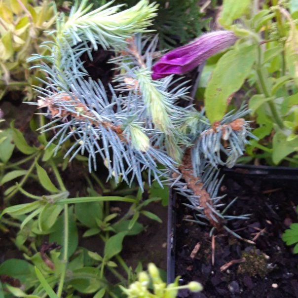 превью изображения отзыва