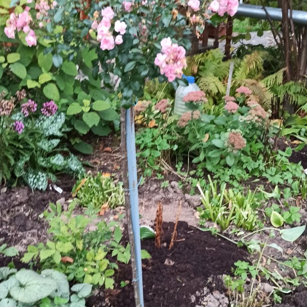 превью изображения отзыва