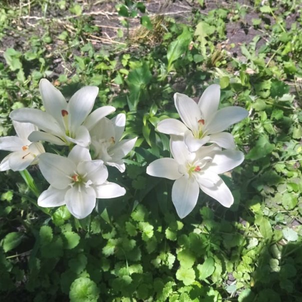 превью изображения отзыва