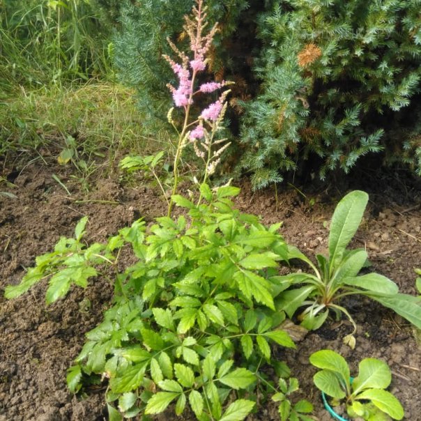 превью изображения отзыва