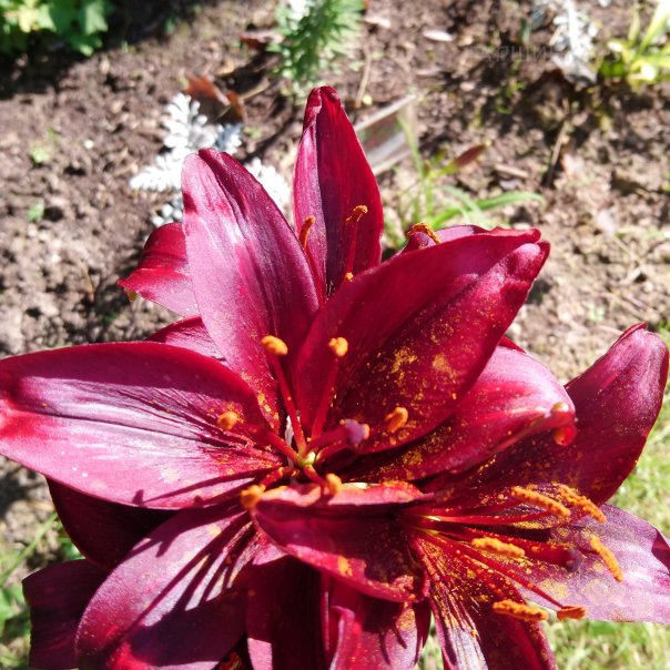 превью изображения отзыва