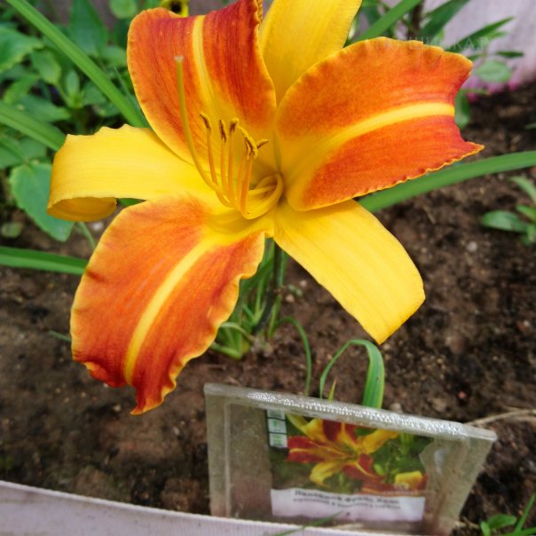 превью изображения отзыва