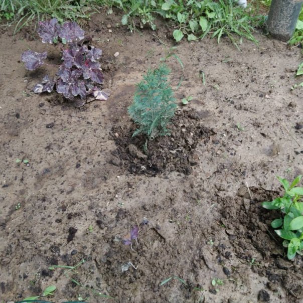 превью изображения отзыва