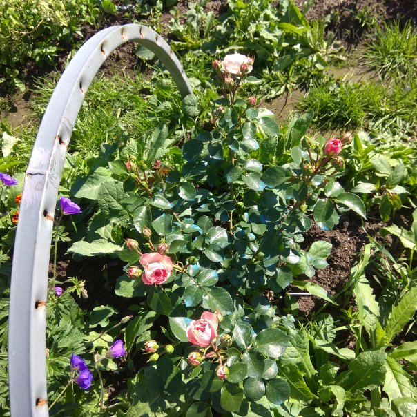 превью изображения отзыва