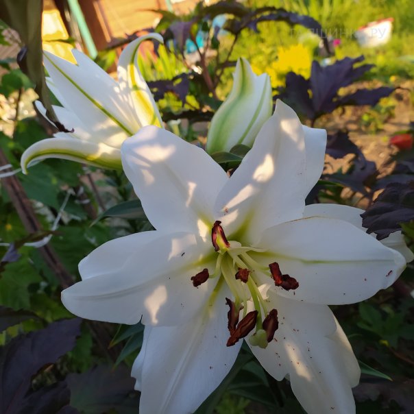 превью изображения отзыва