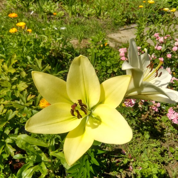 превью изображения отзыва