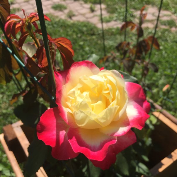 превью изображения отзыва