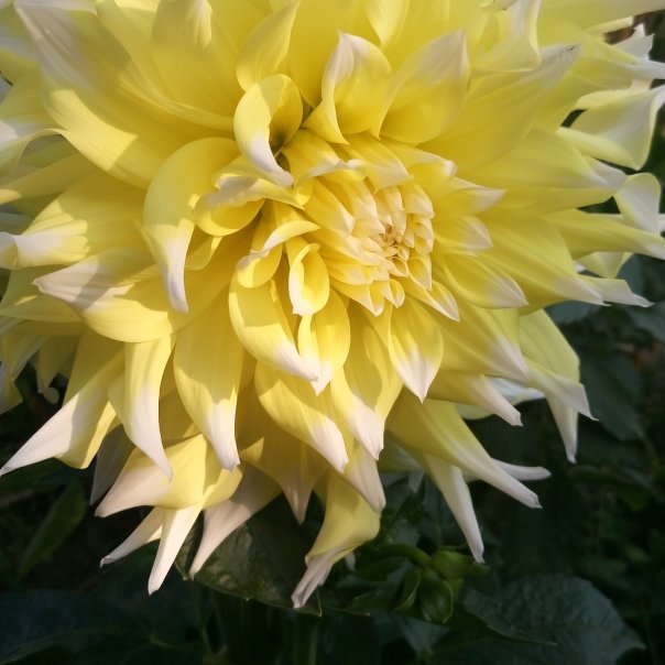 превью изображения отзыва