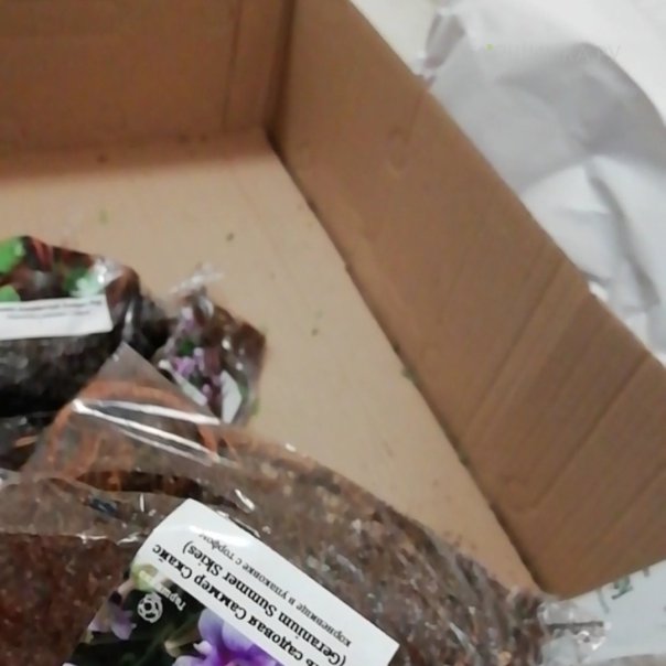 превью изображения отзыва