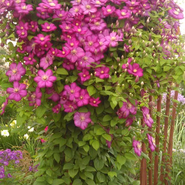 превью изображения отзыва