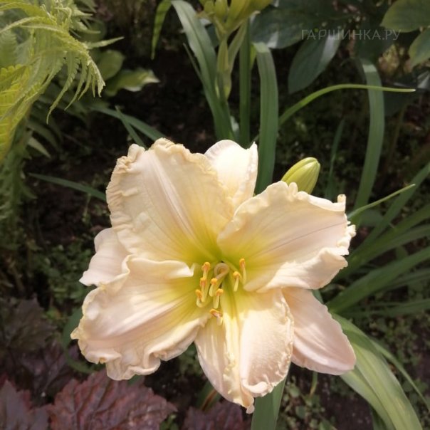 превью изображения отзыва