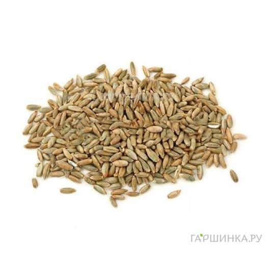 Рожь 0,5 кг