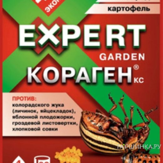 КОРАГЕН, КС