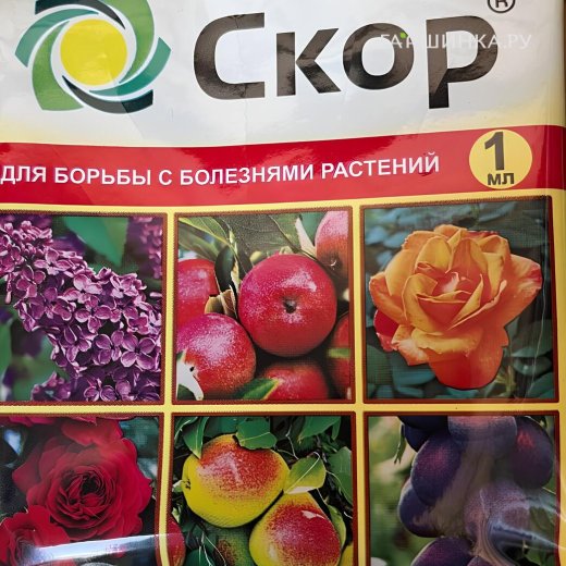 Скор (от парши на плодовых) ВХ