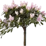 Растения на штамбе