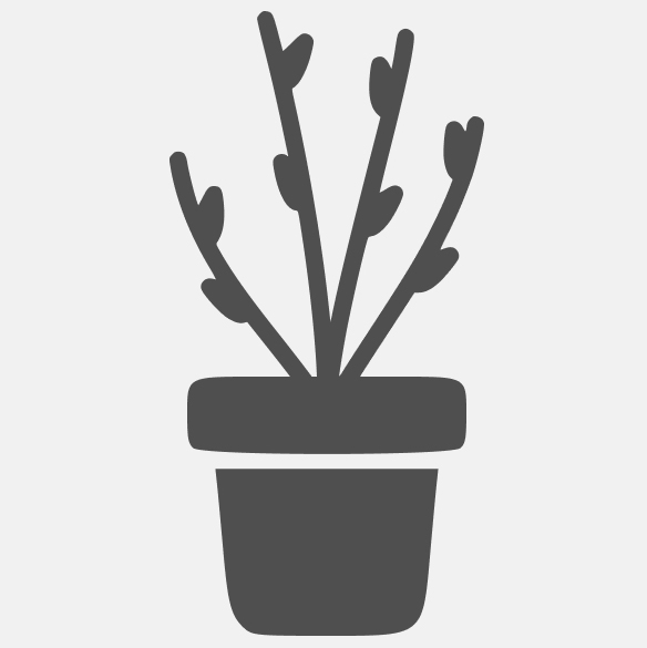 саженцы (горшок 9 см)