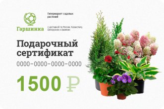 Подарочный сертификат интернет-магазина «Гаршинка.ру» номиналом 1500 рублей
