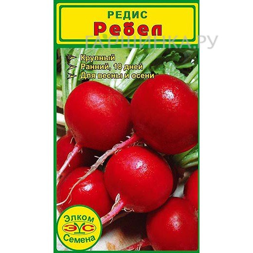 Редис Ребел (2 гр.)