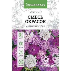 Иберис зонтичный Смесь окрасок