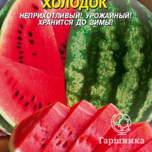 Арбуз Холодок 1 г Плазменные семена 29₽