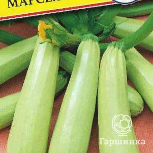 Кабачок Марселла F1 5 шт Семена Престиж 94₽