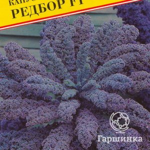 Капуста листовая Редбор F1 5 шт, Семена Престиж
