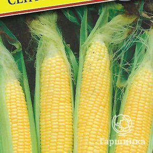 Кукуруза Сентинель F1 сладкая 10 шт Семена Престиж 52₽