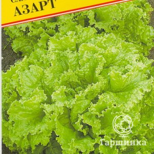 Салат Азарт 0,5 г, Семена Престиж