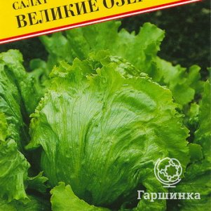 Салат Великие озера 0,5 г, Семена Престиж