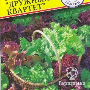 Салат Дружный квартет 1 г, Семена Престиж