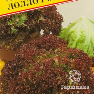 Салат Лолло Росса 0,5 г, Семена Престиж