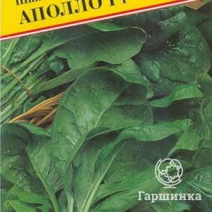 Шпинат Аполло F1 1 г Семена Престиж 24₽