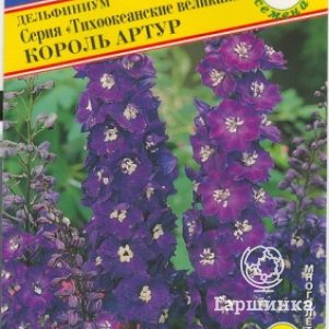 Дельфиниум Король Артур (Тихоок.великаны) 0,05 г, Семена Престиж