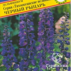 Дельфиниум Черный рыцарь (Тихоок.великаны) 0,05 г, Семена Престиж