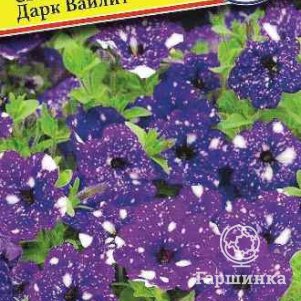 Петуния Дарк Ваилит мультифлора (серия Дот стар) F1 7 др, Семена Престиж