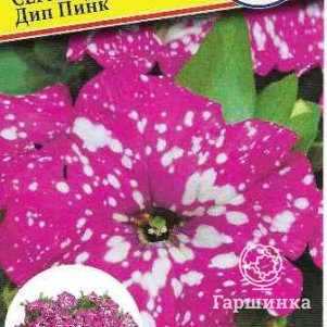 Петуния Дип Пинк мультифлора (серия Дот стар) F1 7 др, Семена Престиж