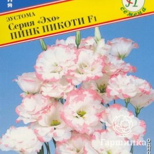 Эустома Пинк Пикоти F1 (серия Эхо) 10 др, Семена Престиж